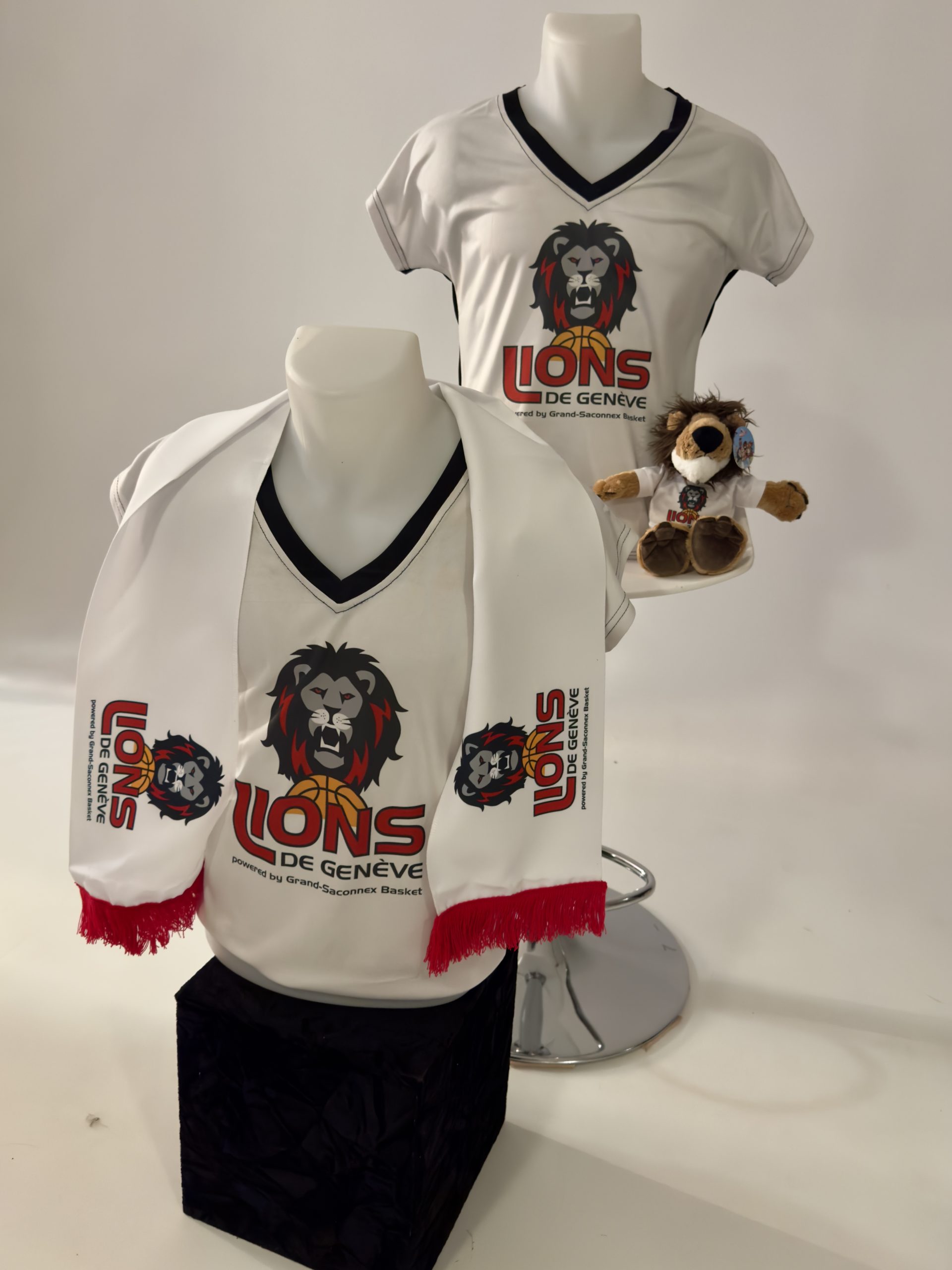 T-Shirt +Echarpe supporter + Lion promo